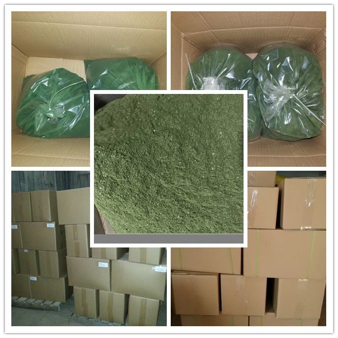 microalgae shrimp larval feed