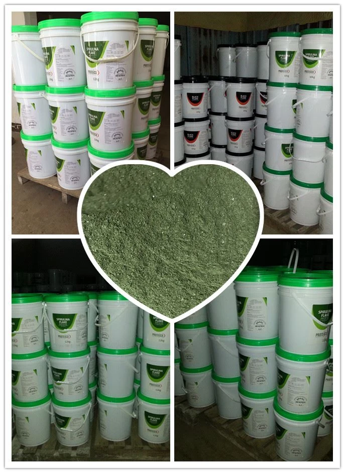 Spirulina shrimp larval feed