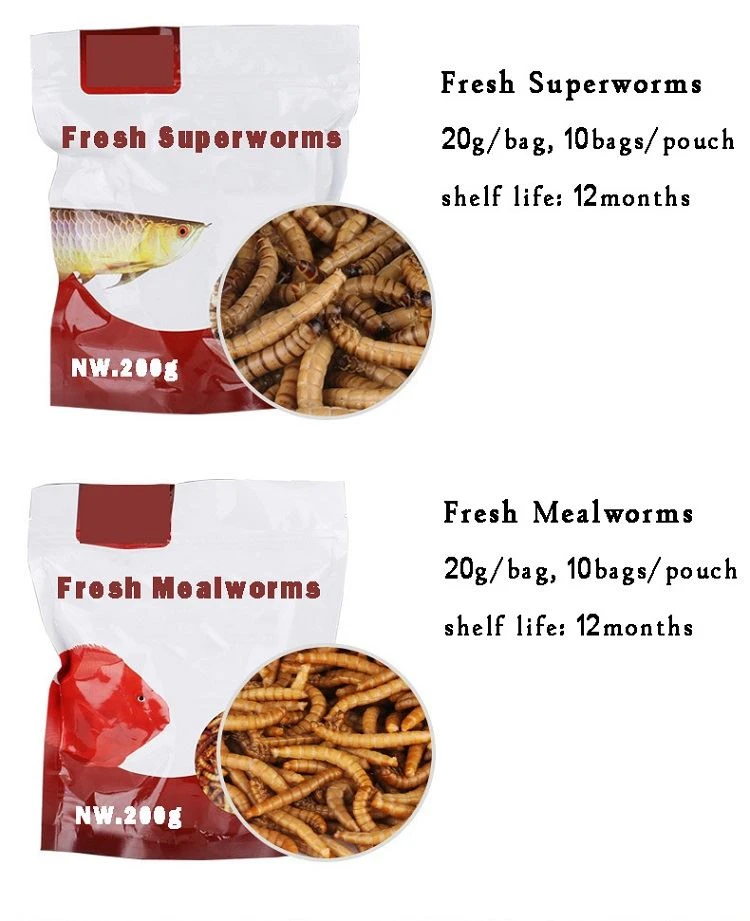 live mealworms and fresh superworms