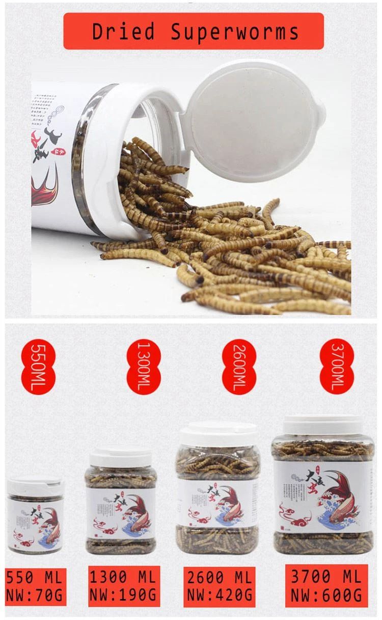 Dried Superworms bird food
