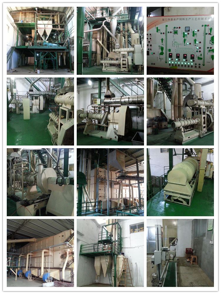 TABLET FISH FOOD PROCESSING