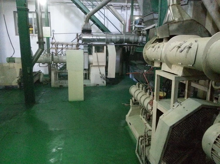 discus fish food processing discus fish food processing