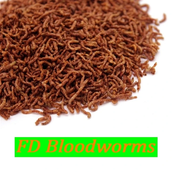 Freeze Dried Bloodworms Food