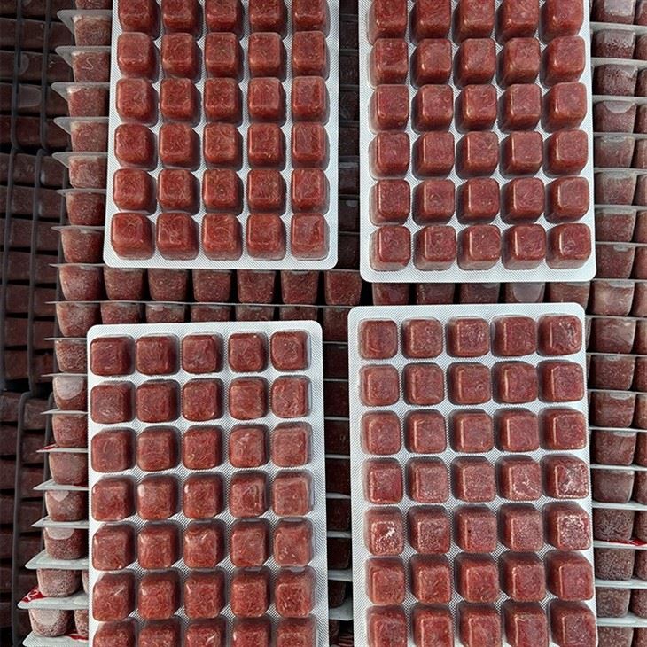Frozen Bloodworms Frozen Bloodworms