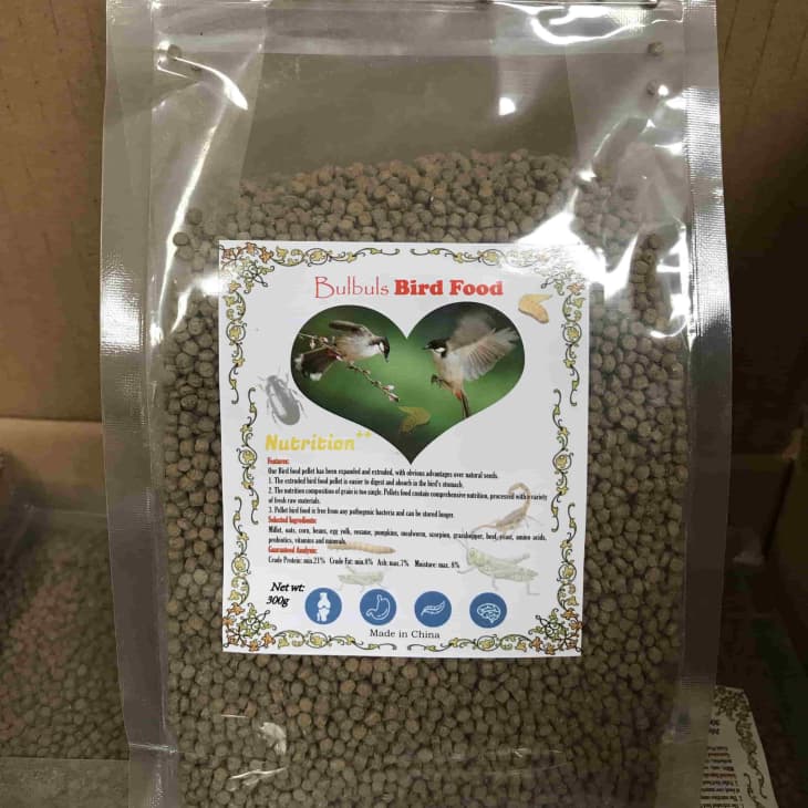 Mejor alimentación de pájaros bulbul