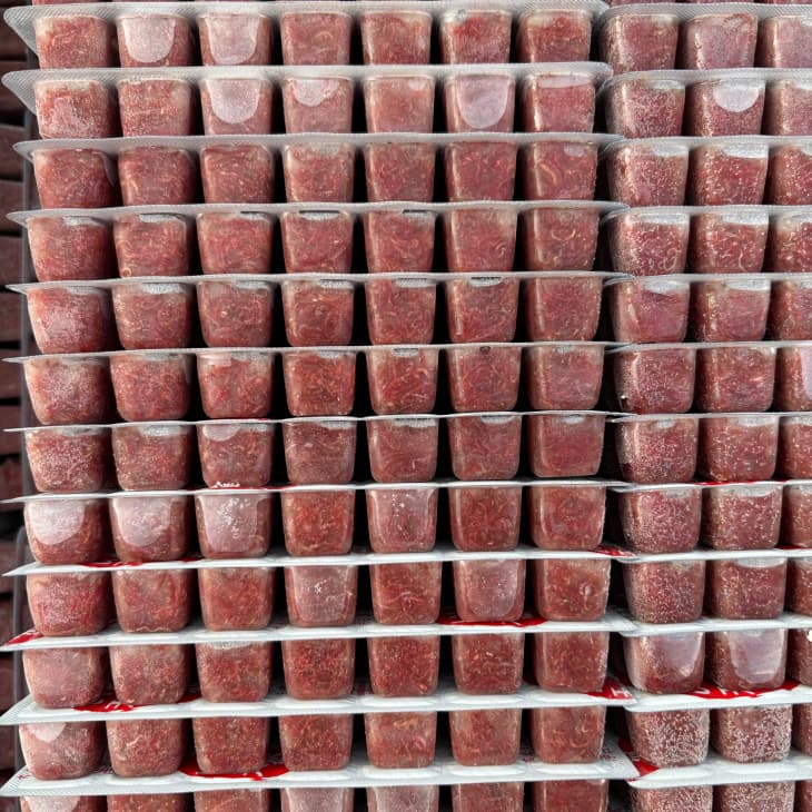 Paquete de ampollas de gusanos de sangre congelados