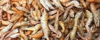 freeze dried river shrimp freeze dried river shrimp