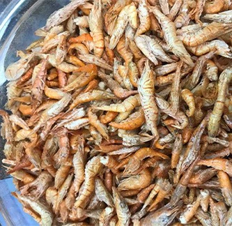 dried river shrimp fish food dried river shrimp fish food